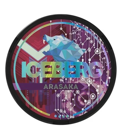 Iceberg Arasaka