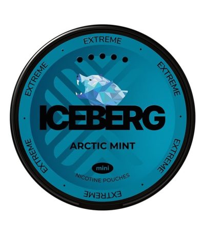 ICEBERG Arctic Mint Mini Extreme