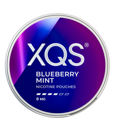 XQS Blueberry Mint